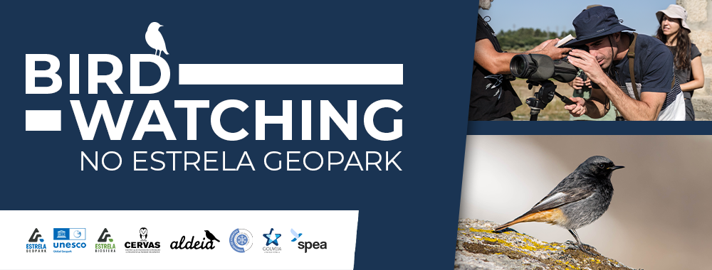 19.06.2025 Birdwatching - Banner.png